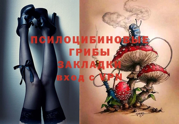 мдпв Беломорск