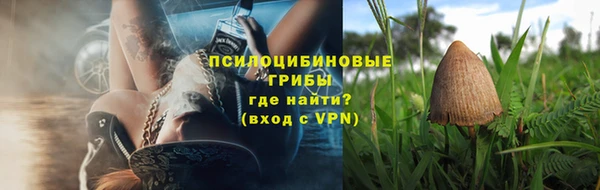 твердый Белокуриха