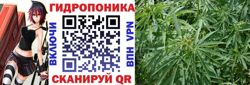 купить закладку Гремячинск KRAKEN зеркало Каннабис гибрид